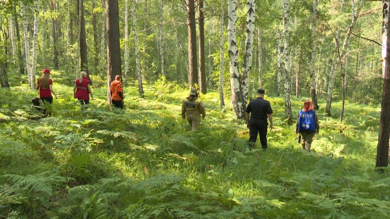 Лес ошибок не прощает: масштабные учения по поиску людей в тайге провели под Иркутском